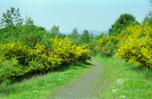 old railway near Gorebridge