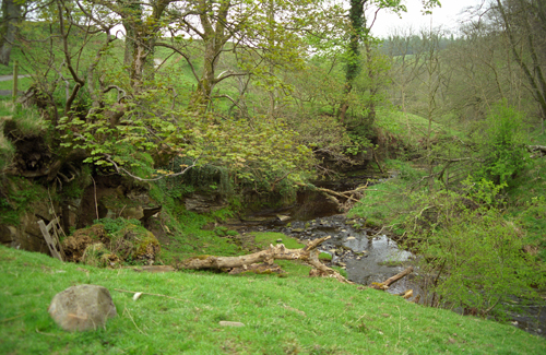glen near Wark
